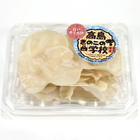 白い生きくらげ 　100g × 6パックセット