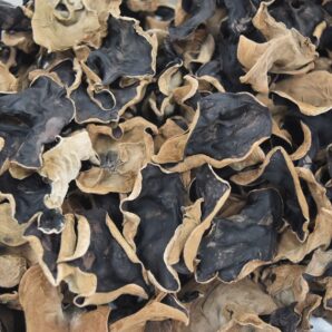 乾燥きくらげ　1kg