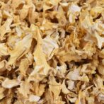 乾燥　ハナビラ茸