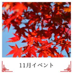 2022年11月 熊本:イベント情報公開