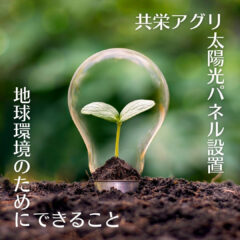 人吉工場に太陽光発電設備を設置