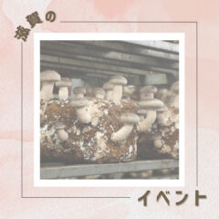 1日限定よかもんショップにてイベント開催