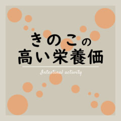 きのこの高い栄養価