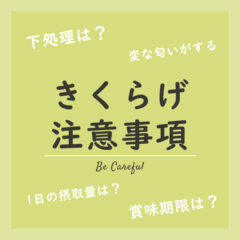 きくらげの注意事項とよくある質問