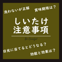 しいたけの注意事項とよくある質問