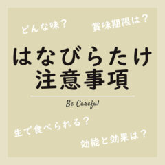 はなびらたけの注意事項とよくある質問