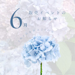 2024年6月 熊本:イベント情報公開