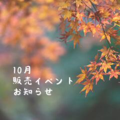 2024年10月 熊本:イベント情報公開