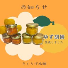 「山江村の達人のゆず胡椒」販売開始しました！